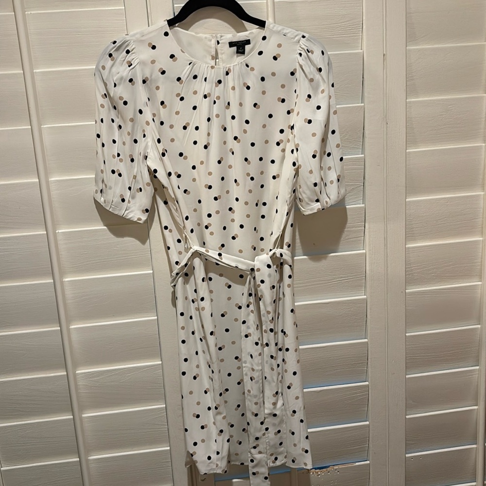 Ann Taylor polka dot dress NWT